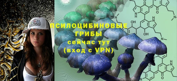 стаф Гусев