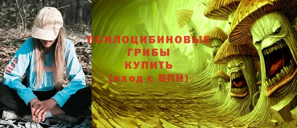 стаф Гусев