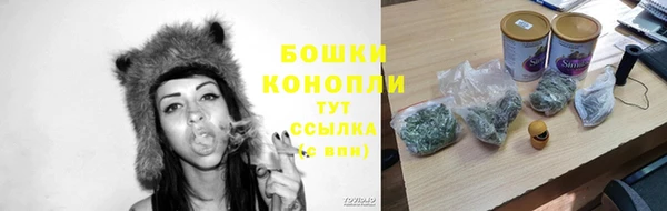 стаф Гусев