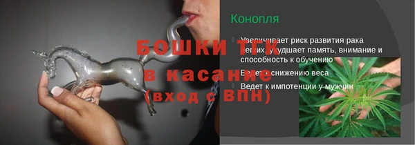 ГАЛЛЮЦИНОГЕННЫЕ ГРИБЫ Чегем