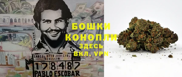 гашик Гусиноозёрск
