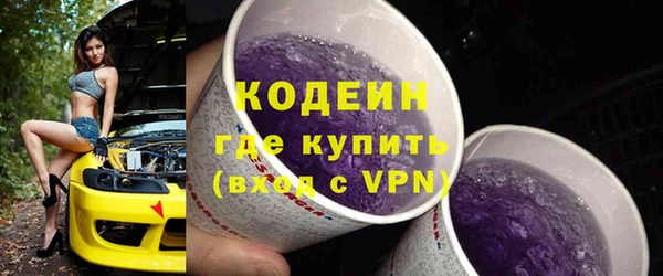стаф Гусев