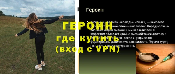 стаф Гусев